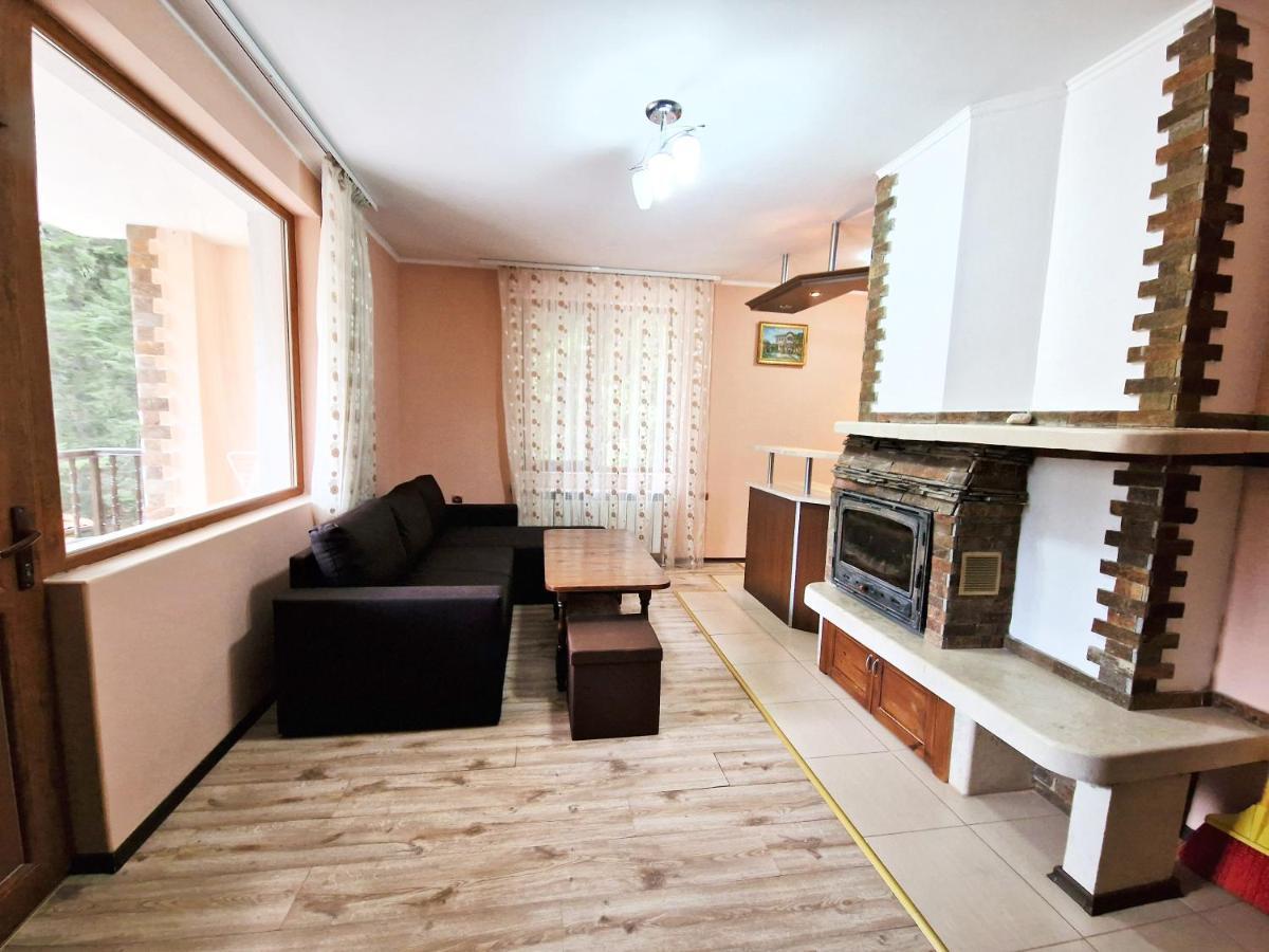 Ивелия Къща За Гости Dospat Exterior foto